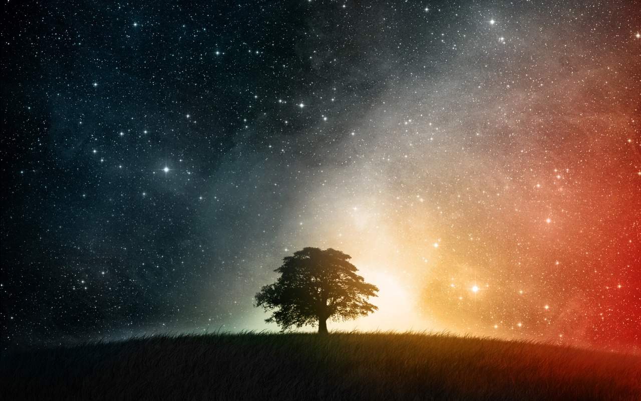 Night-Sky-Tree-Universe-HD-Pictures
