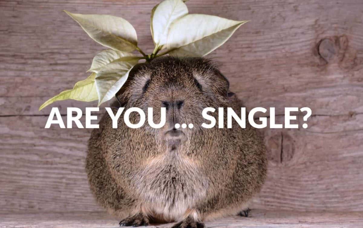 single