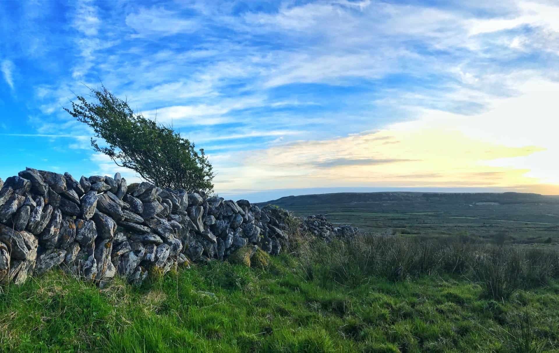 Ireland Photo Tree