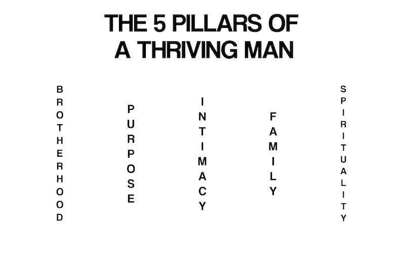5-Pillars-of-a-Thriving-Man-Graphic-Image-(Transparent)4
