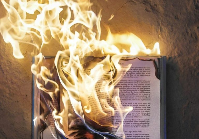 freddy-kearney-enkfvvZkKv0-unsplash